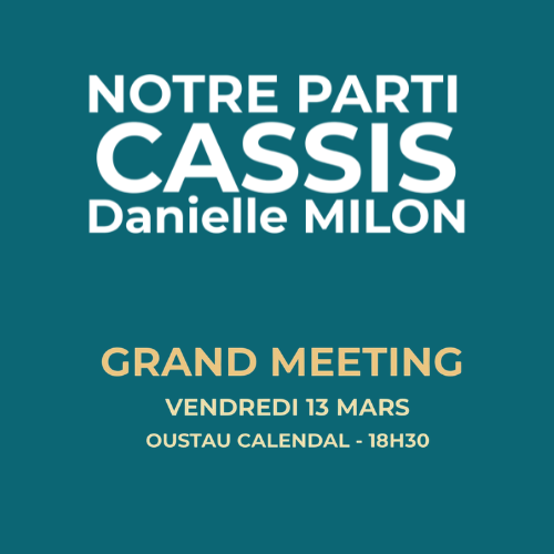 MEETING 13 MARS